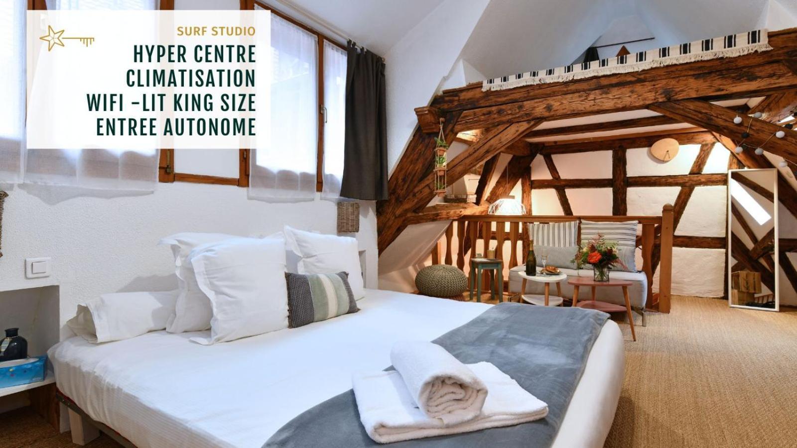 Gite See You Soon - Studio Surf Colmar Exteriör bild
